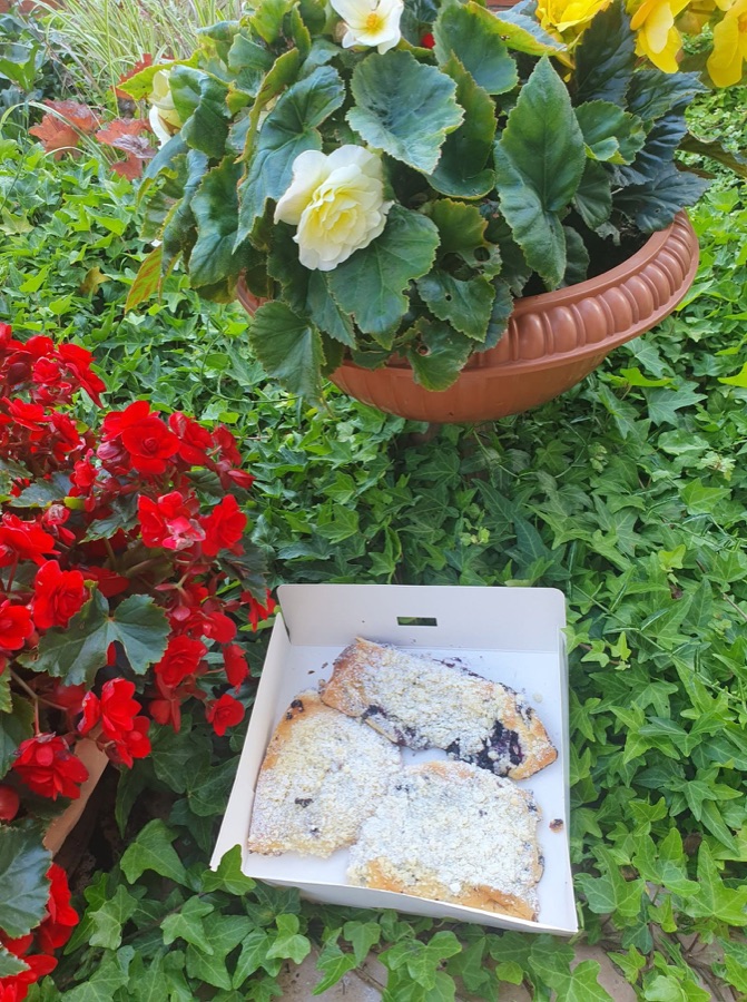 Jagodzianki PyziPyzi – Kalisz i Ostrów