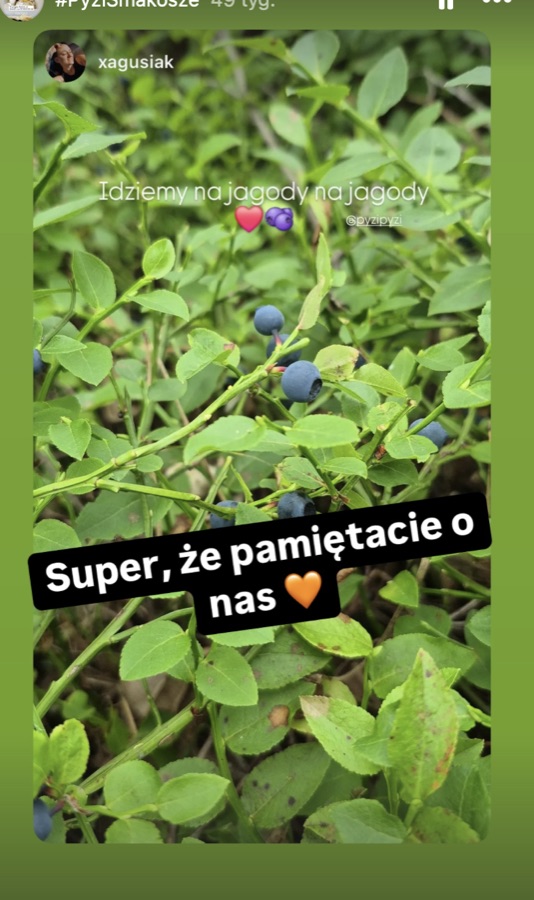 Relacje klientów o jagodziankach PyziPyzi